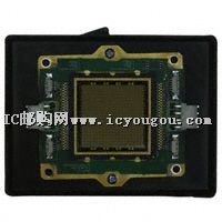 ENFIS QUATTRO ARRAY BLUEDƬ